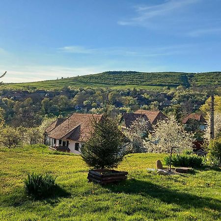 Siklód. Csaba vendégház  Exterior foto